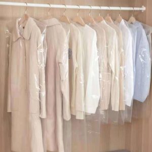 Disposable garment bag